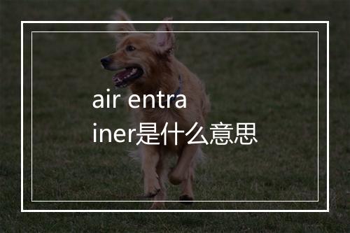 air entrainer是什么意思