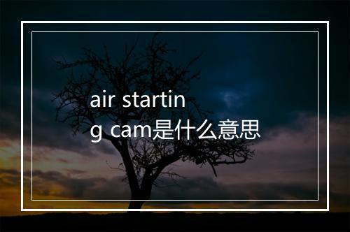 air starting cam是什么意思