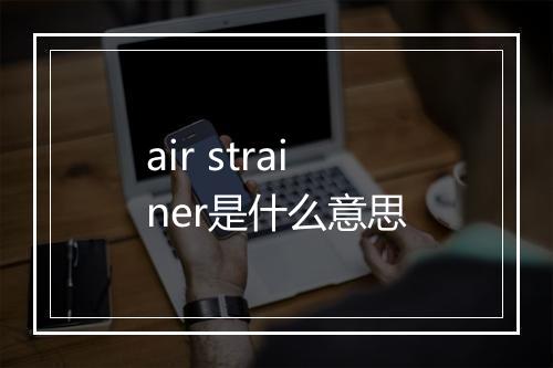 air strainer是什么意思