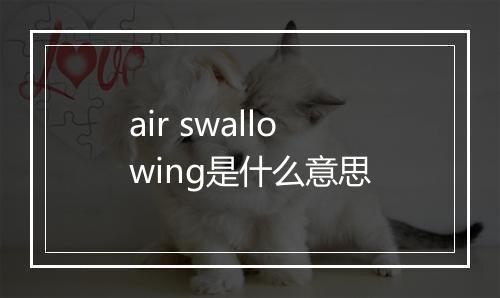 air swallowing是什么意思