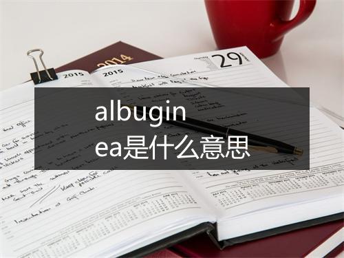 albuginea是什么意思