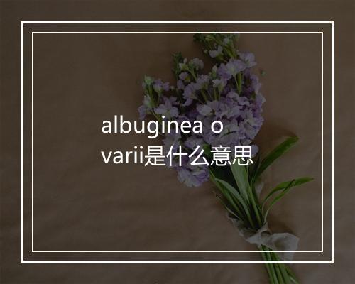 albuginea ovarii是什么意思