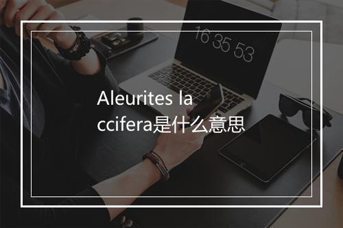 Aleurites laccifera是什么意思