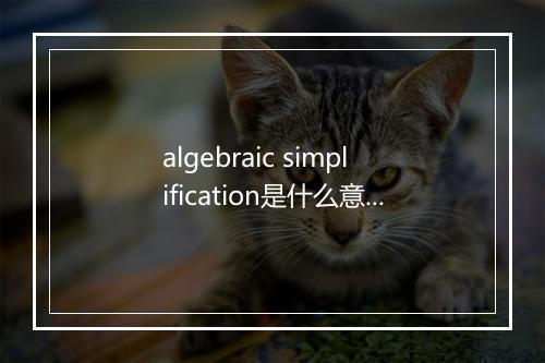 algebraic simplification是什么意思