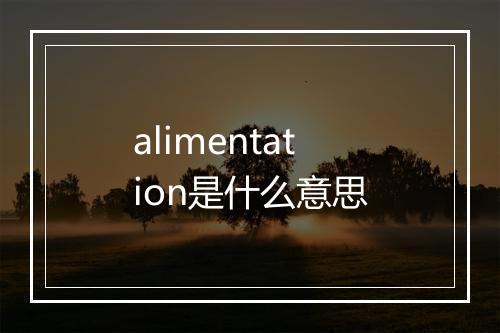 alimentation是什么意思