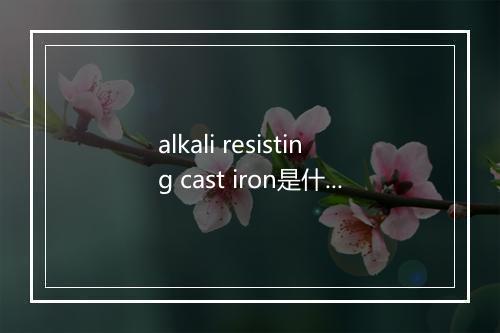 alkali resisting cast iron是什么意思