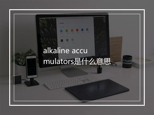 alkaline accumulators是什么意思