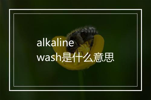 alkaline wash是什么意思