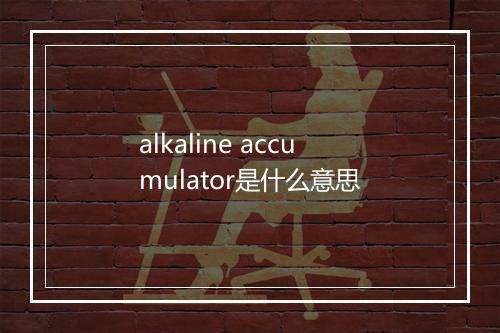 alkaline accumulator是什么意思