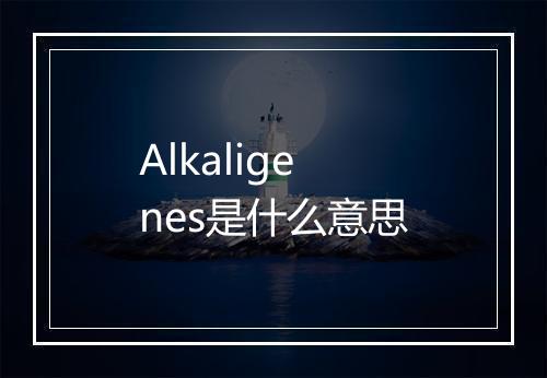 Alkaligenes是什么意思