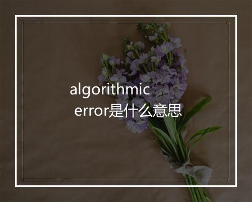 algorithmic error是什么意思