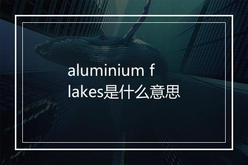 aluminium flakes是什么意思