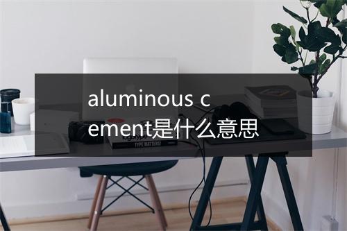 aluminous cement是什么意思