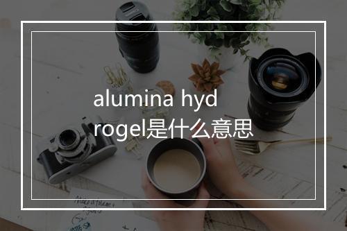 alumina hydrogel是什么意思