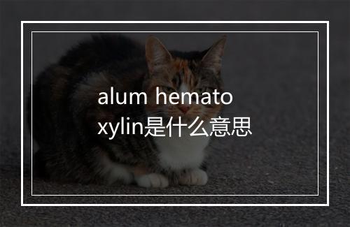 alum hematoxylin是什么意思