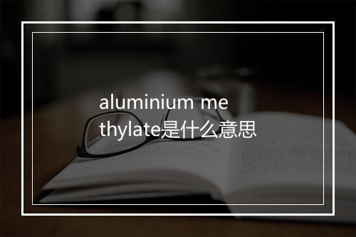 aluminium methylate是什么意思