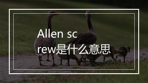 Allen screw是什么意思