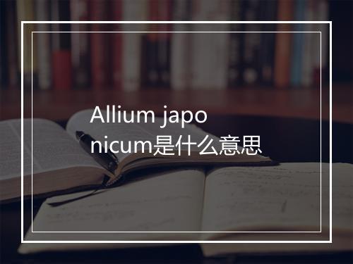 Allium japonicum是什么意思