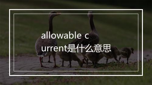 allowable current是什么意思