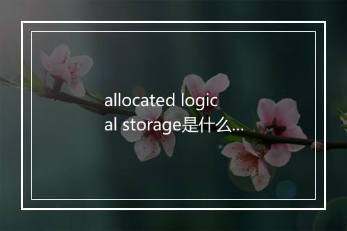 allocated logical storage是什么意思