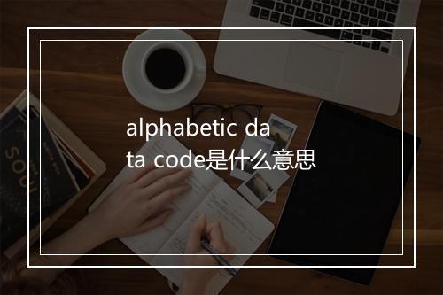 alphabetic data code是什么意思