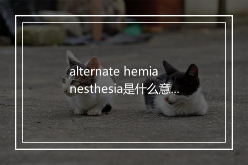 alternate hemianesthesia是什么意思