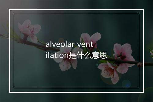 alveolar ventilation是什么意思