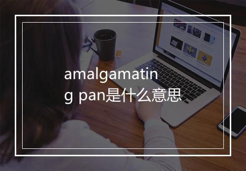 amalgamating pan是什么意思