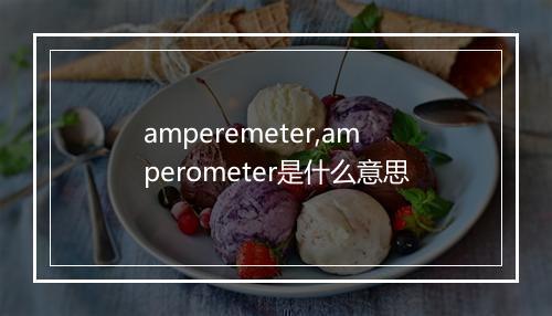 amperemeter,amperometer是什么意思