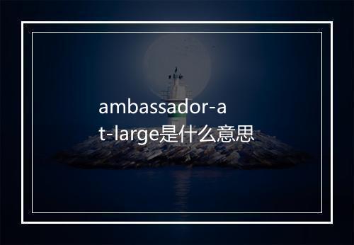 ambassador-at-large是什么意思