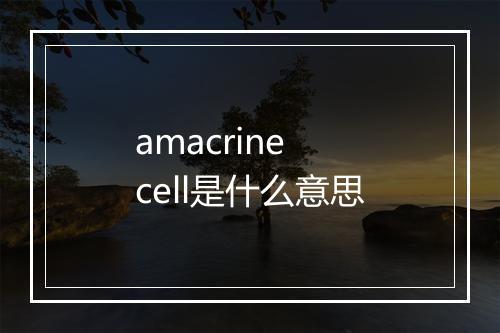 amacrine cell是什么意思