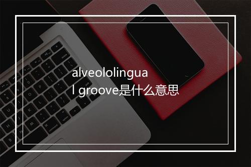 alveololingual groove是什么意思