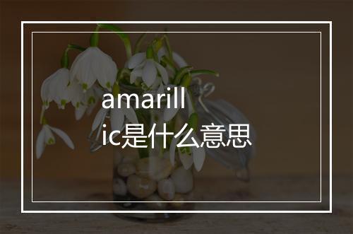 amarillic是什么意思