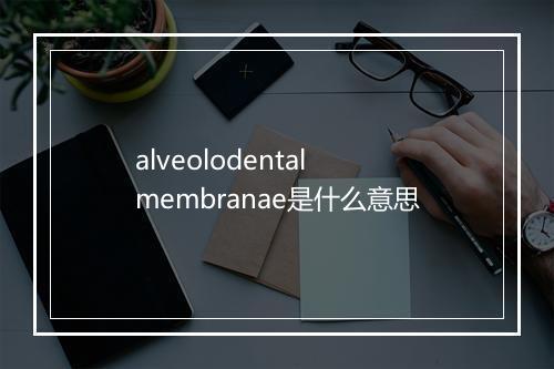 alveolodental membranae是什么意思