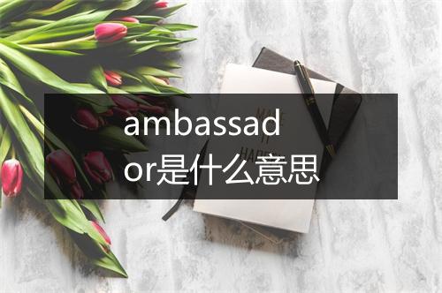 ambassador是什么意思