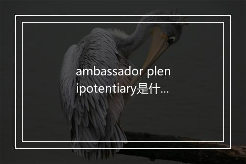 ambassador plenipotentiary是什么意思