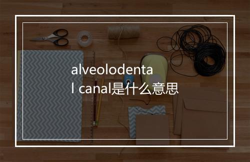 alveolodental canal是什么意思