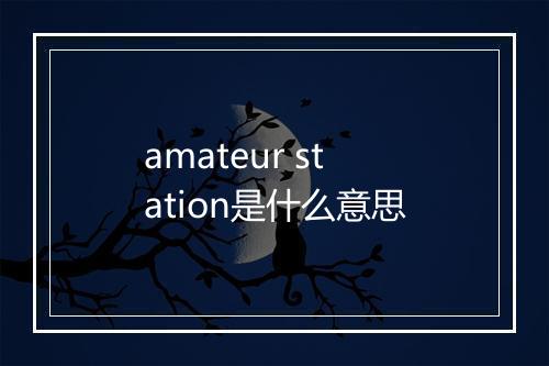 amateur station是什么意思