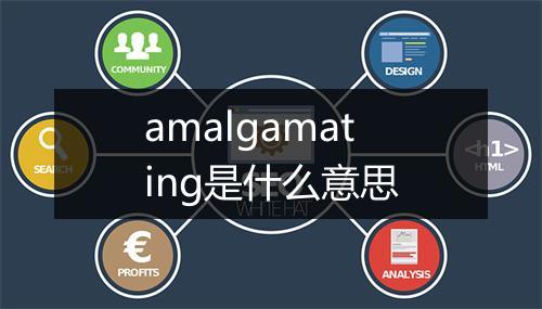 amalgamating是什么意思