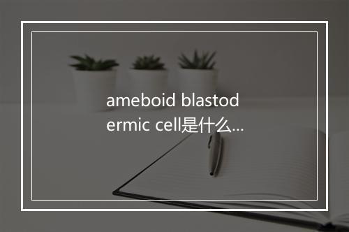 ameboid blastodermic cell是什么意思