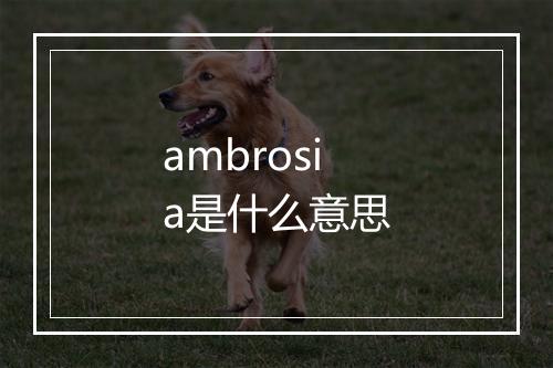 ambrosia是什么意思