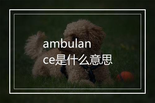 ambulance是什么意思