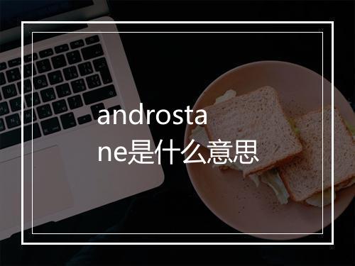 androstane是什么意思