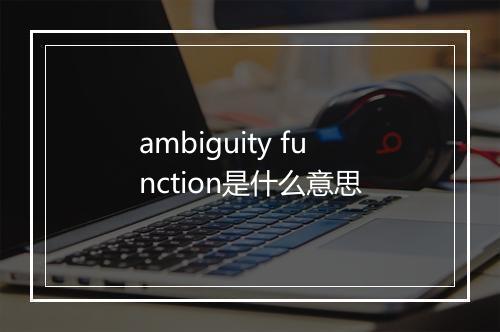 ambiguity function是什么意思