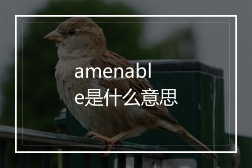 amenable是什么意思