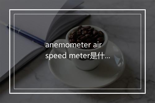 anemometer air speed meter是什么意思