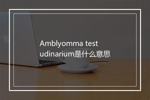 Amblyomma testudinarium是什么意思