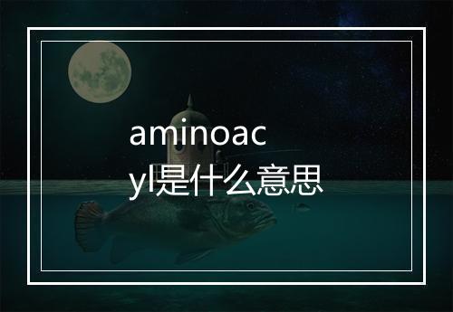 aminoacyl是什么意思