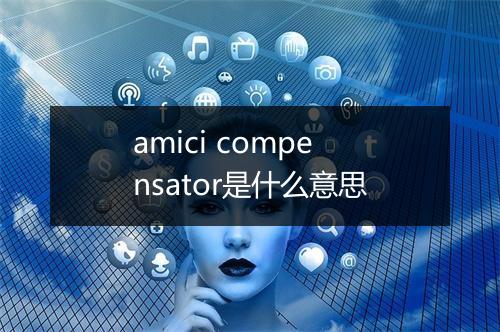 amici compensator是什么意思