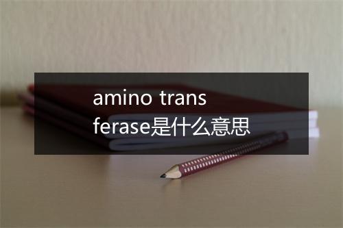 amino transferase是什么意思